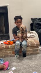 Lost Female Dog last seen Crest park, New Orleans, LA 70126