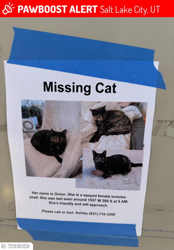 Lost Female Cat last seen Near w 200 south SLC, Salt Lake City, UT 84104