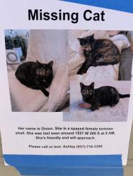 Lost Female Cat last seen Near W 200 S, Salt Lake City, UT 84104