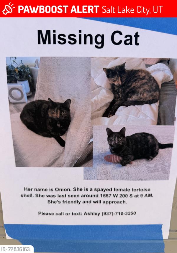 Lost Female Cat last seen Near W 200 S, Salt Lake City, UT 84104