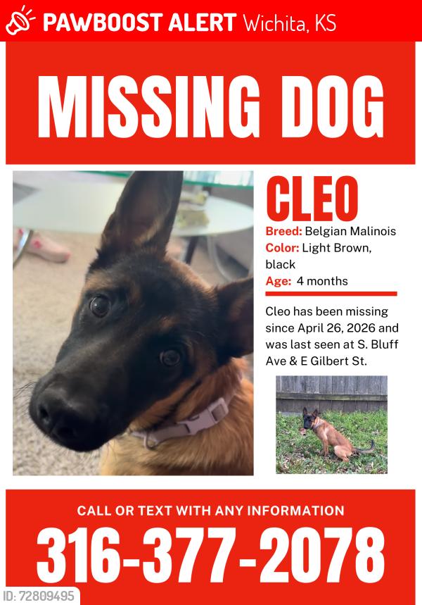 Lost Female Dog last seen Gilbert and South Bluff, Wichita, KS 67218