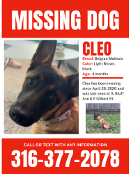 Lost Female Dog last seen Gilbert and South Bluff, Wichita, KS 67218
