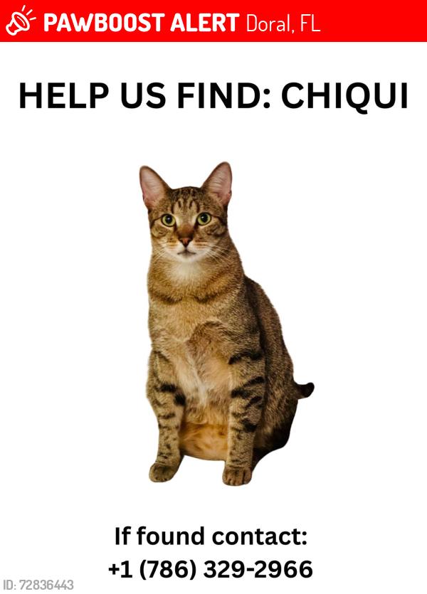 Lost Male Cat last seen Landmark cndmnium , Doral, FL 33178