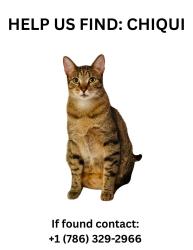 Lost Male Cat last seen Landmark cndmnium , Doral, FL 33178