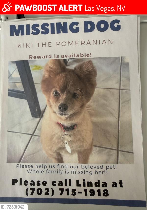 Lost Female Dog last seen West Desert Inn & S Decatur, Las Vegas, NV 89146