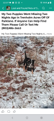 Lost Male Dog last seen Claudia and parklane re, Columbia, SC 29223