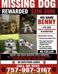 Lost Male Dog last seen Idk, Wilmington, NC 28403