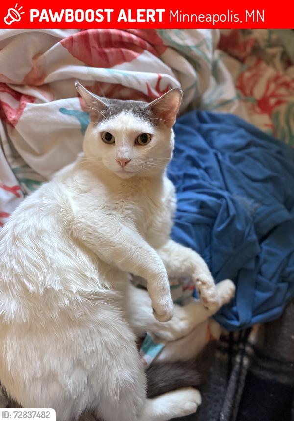 Lost Male Cat last seen 27th st , Minneapolis, MN 55407
