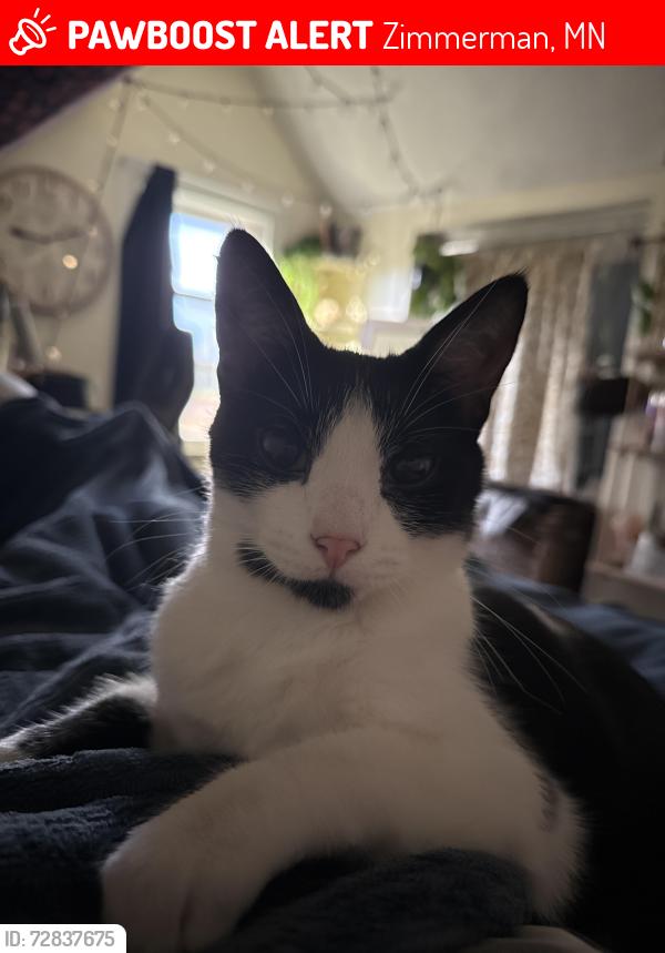 Lost Male Cat last seen Paw Spa, county rd 19, Zimmerman, MN 55398