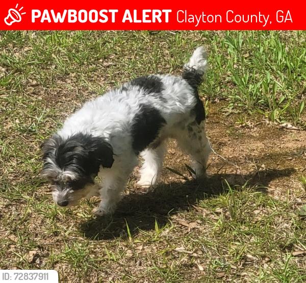 Lost Male Dog last seen River Bend Dr and Corinth , Clayton County, GA 30238