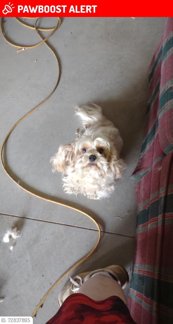 Lost Female Dog last seen Rabbit Ridge Road, Howard Ohio, Butler Township, OH 43028