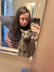 Reunited Male Cat last seen Near Sullivan Ave, London, OH 43140, USA, London, OH 43140
