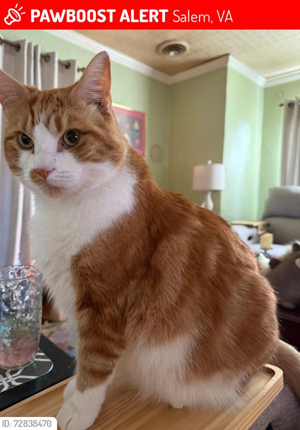 Lost Male Cat last seen Virginia State Police Division 6 Headquarters, 3775 W Main St, Salem, VA 24153, Salem, VA 24153