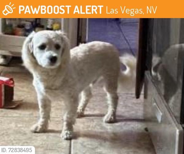 Found/Stray Male Dog last seen W Sahara and rainbow, Las Vegas, NV 89146
