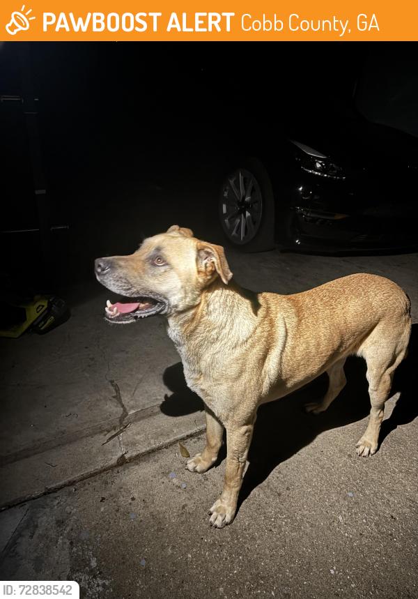 Found/Stray Male Dog last seen Aaron trail, powder springs , Cobb County, GA 30127