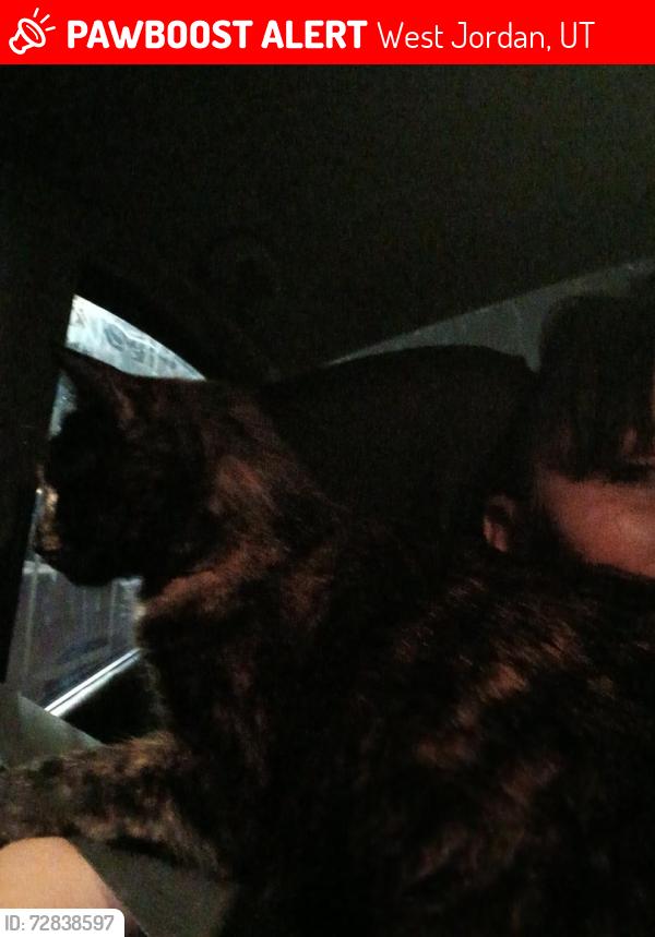 Lost Female Cat last seen 7000s redwood rd , West Jordan, UT 84084