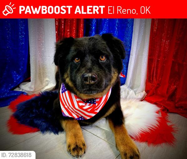 Lost Male Dog last seen Darlington road and n heaston road, El Reno, OK 73022