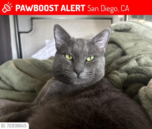 Lost Male Cat last seen Clara Lee Ave and Greenbrier , San Diego, CA 92120