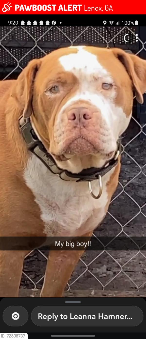 Lost Male Dog last seen 304e central, Lenox, GA 31637