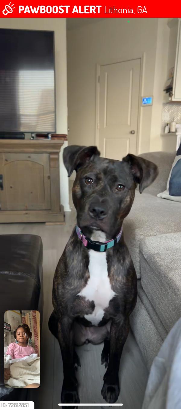 Lost Female Dog last seen Hillandale Drive and Hillandale Park Dr, Lithonia, GA 30058