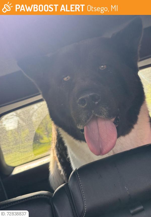 Found/Stray Male Dog last seen 108th Avenue/16th sStreet, Otsego, MI 49078