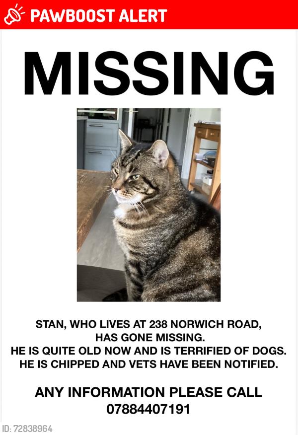 Lost Male Cat last seen Next to Waitrose, Wymondham, Norfolk, England NR18 0SX