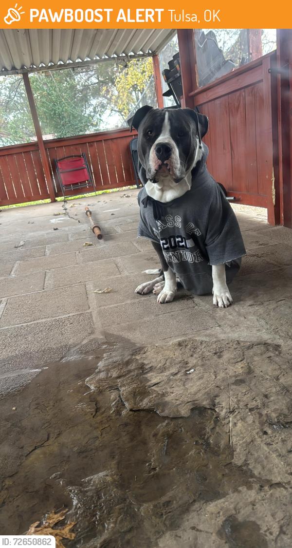 Found/Stray Male Dog last seen Near s 108th east ave, Tulsa, OK 74128