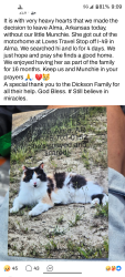 Lost Female Cat last seen Loves truck stop, Alma, AR 72921