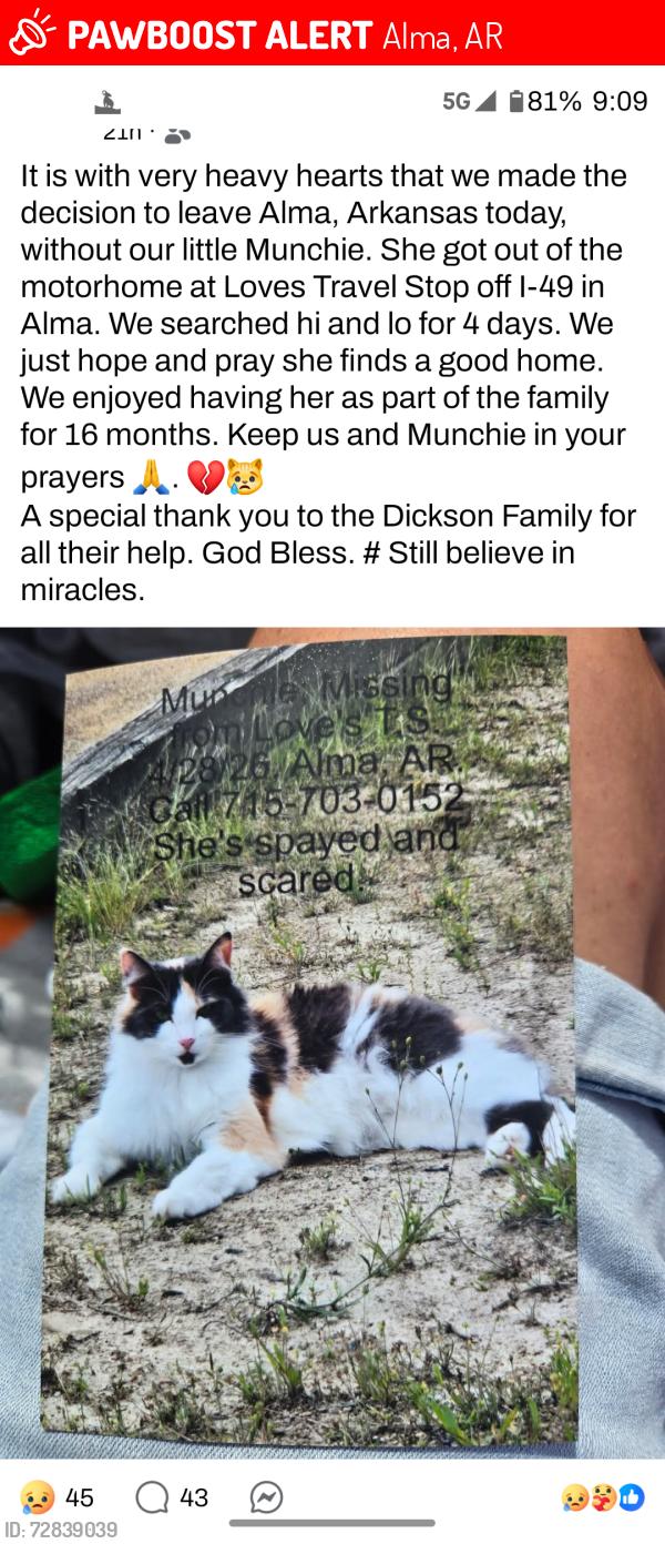 Lost Female Cat last seen Loves truck stop, Alma, AR 72921