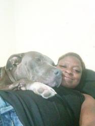 Lost Female Dog last seen Between Goos Blvd and tuck St, Lake Charles, LA 70601