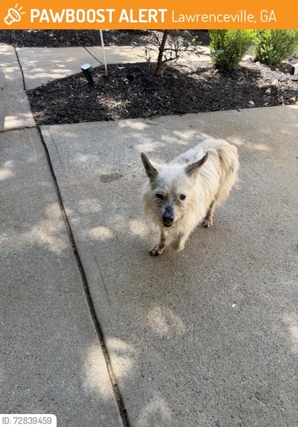 Found/Stray Unknown Dog last seen Herrington Rd and Waverly Hills Ct, Lawrenceville, GA 30044