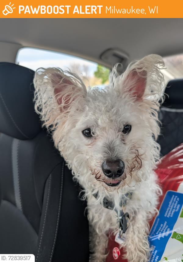Found/Stray Unknown Dog last seen North 60th, Milwaukee, WI 53218