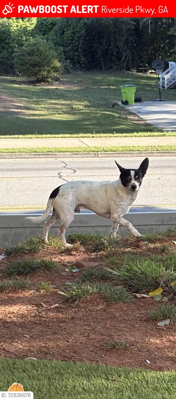 Lost Male Dog last seen Riverside Pkwy , Riverside Pkwy, GA 30331