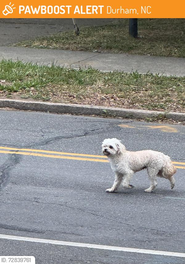 Found/Stray Unknown Dog last seen Near Duke East campus , Durham, NC 27705