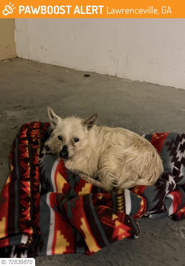 Found/Stray Unknown Dog last seen Waverly Hills Ct and Herrington Rd, Lawrenceville, GA 30044