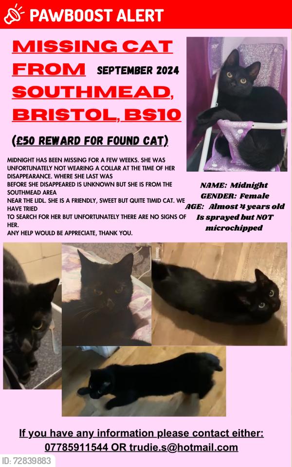 Lost Female Cat last seen Near Lidl Southmead, Southmead, England BS10 5JX
