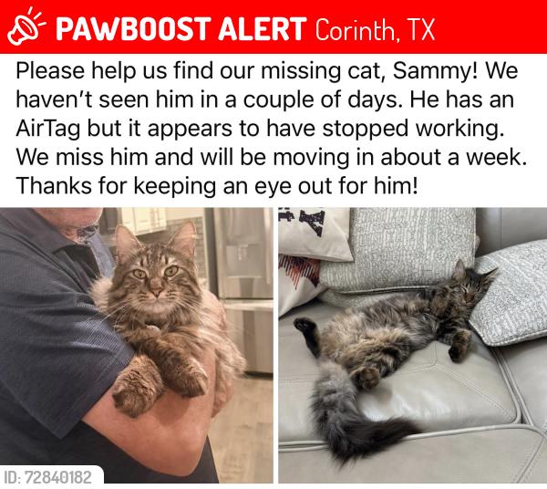 Lost Male Cat last seen Windy meadow dr and Corinth parkway, Corinth, TX 76208