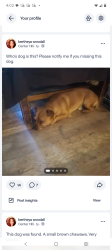 Reunited Male Dog last seen Baker rd, Bankhead and Hightower , Atlanta, GA 30318