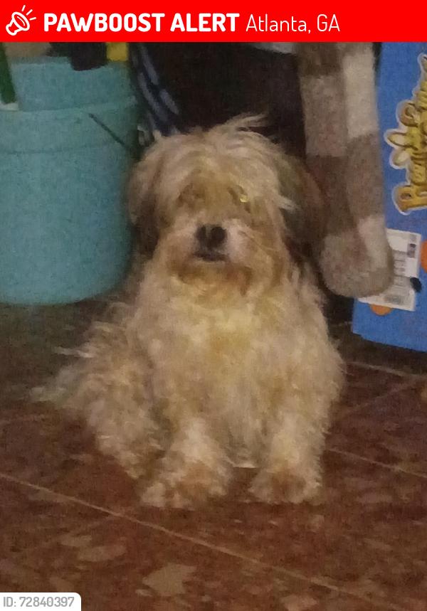 Lost Male Dog last seen Baker rd, Bankhead and Hightower, Atlanta, GA 30318