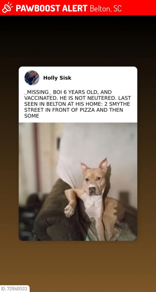 Lost Male Dog last seen Pizza and then some, Belton, SC 29627