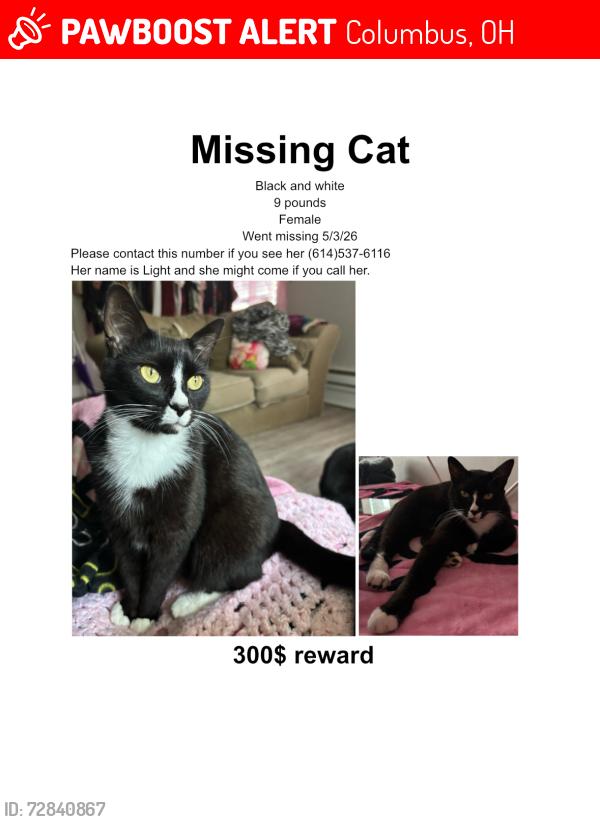Lost Female Cat last seen Near Shanley Dr, Columbus, OH 43224