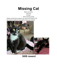 Lost Female Cat last seen Near Shanley Dr , Columbus, OH 43224