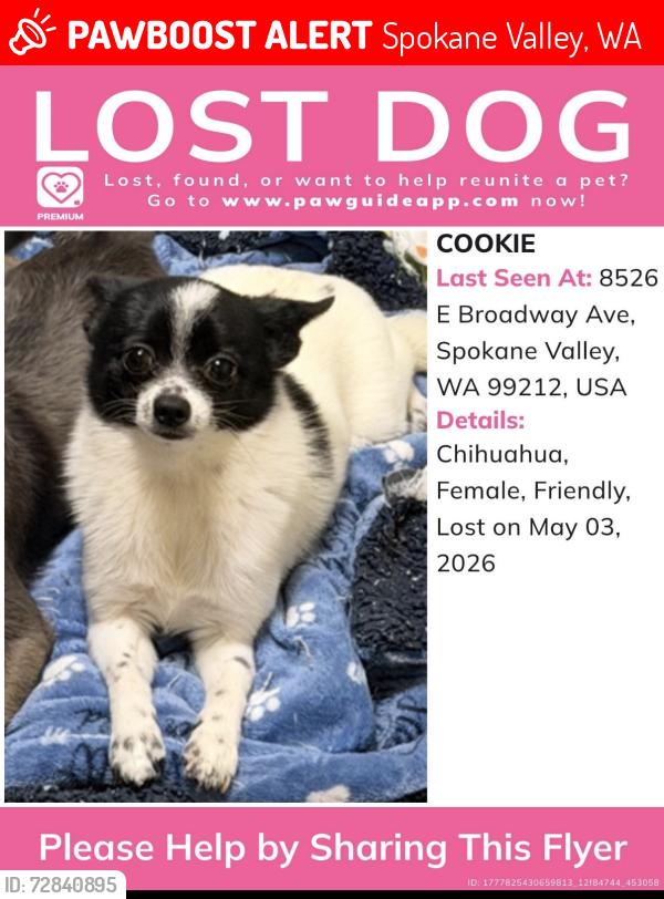 Lost Female Dog last seen Broadway and Marguerite, Spokane Valley, WA 99212