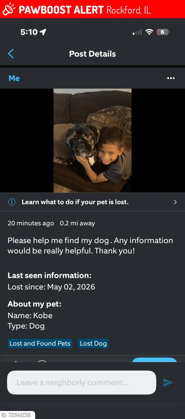 Lost Male Dog last seen Broadway Rockford il, Rockford, IL 61104