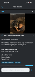 Lost Male Dog last seen Broadway Rockford il, Rockford, IL 61104
