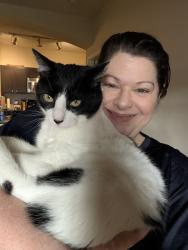 Found/Stray Male Cat last seen Merritt Legacy apmts , Leander, TX 78641