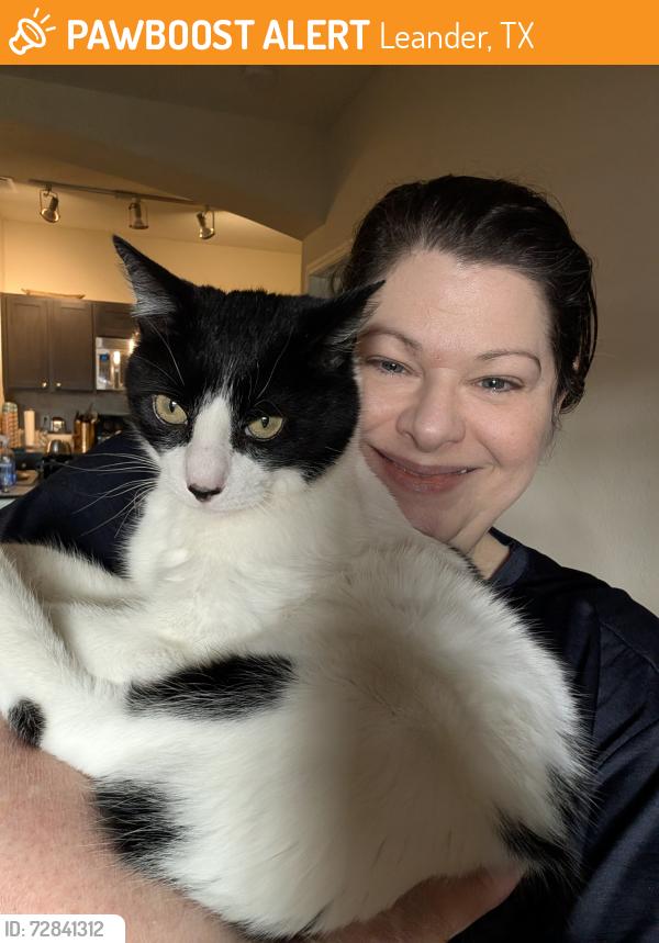 Found/Stray Male Cat last seen Merritt Legacy apmts , Leander, TX 78641