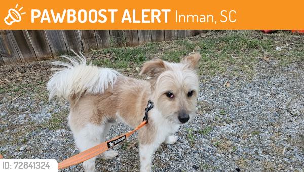 Found/Stray Male Dog last seen McDonalds , Inman, SC 29349