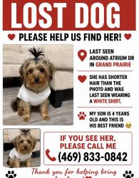 Lost Female Dog last seen Near and mayfield , Grand Prairie, TX 75050