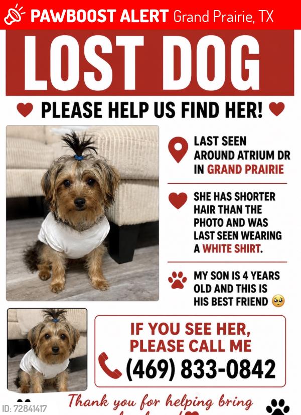 Lost Female Dog last seen Near and mayfield , Grand Prairie, TX 75050